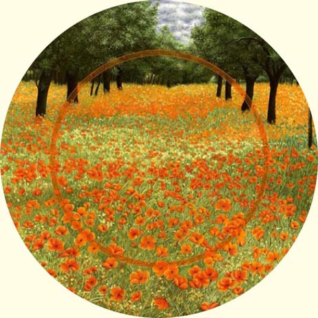 Orange Poppies